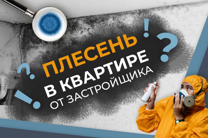 Плесень в новой квартире - один из основных страхов дольщиков.