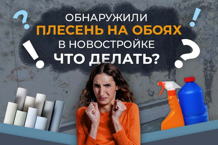 ОБНАРУЖИЛАСЬ ПЛЕСЕНЬ НА ОБОЯХ ПРИ ПРИЕМКЕ. Что делать?